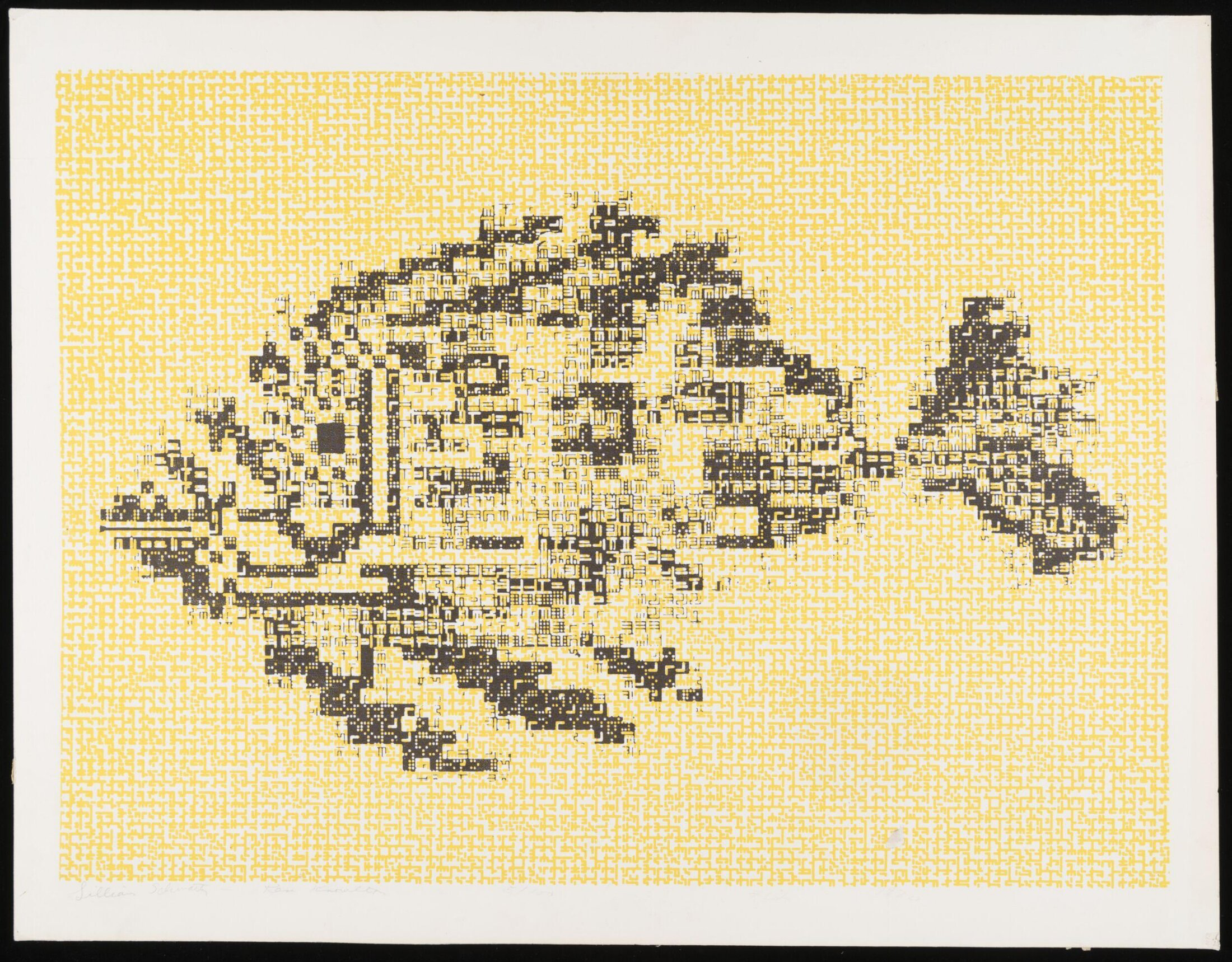 fish.png